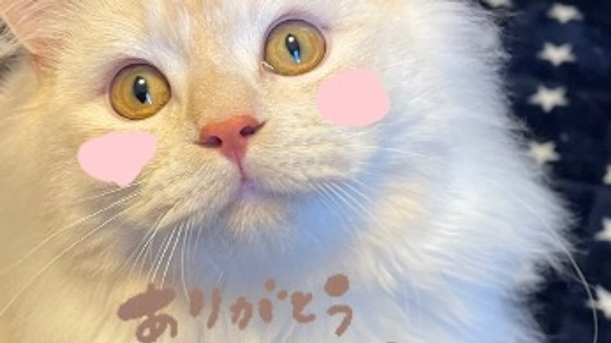 ご支援いただきました！