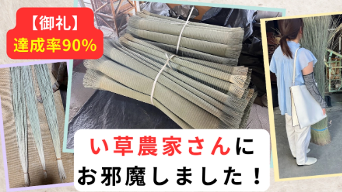い草農家さんにお邪魔しました！