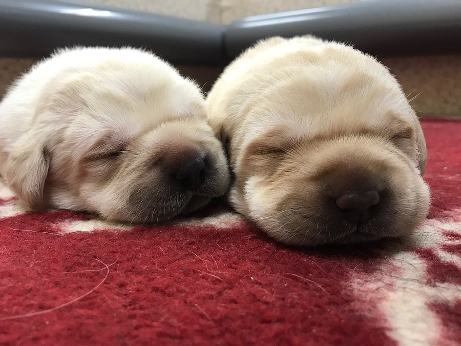 ★リターン紹介　その３