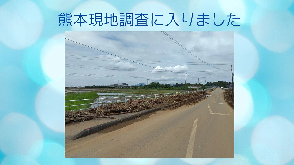 熊本現地調査報告