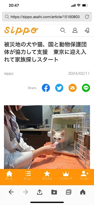 能登半島地震被災地の動物を支援する取り組みについて、朝日新聞社sippoに掲載いただきました