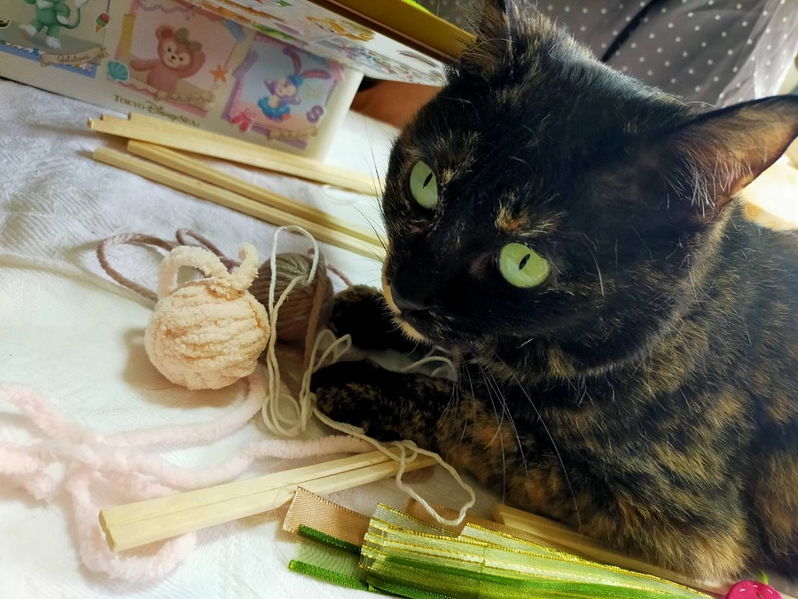 ふらっとフラットwith cats & dogsメンバーからの言葉　手芸担当T.りささんE.Oさん