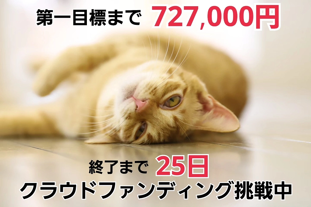 私１人では助ける事が出来ない命を助けさせて下さい。