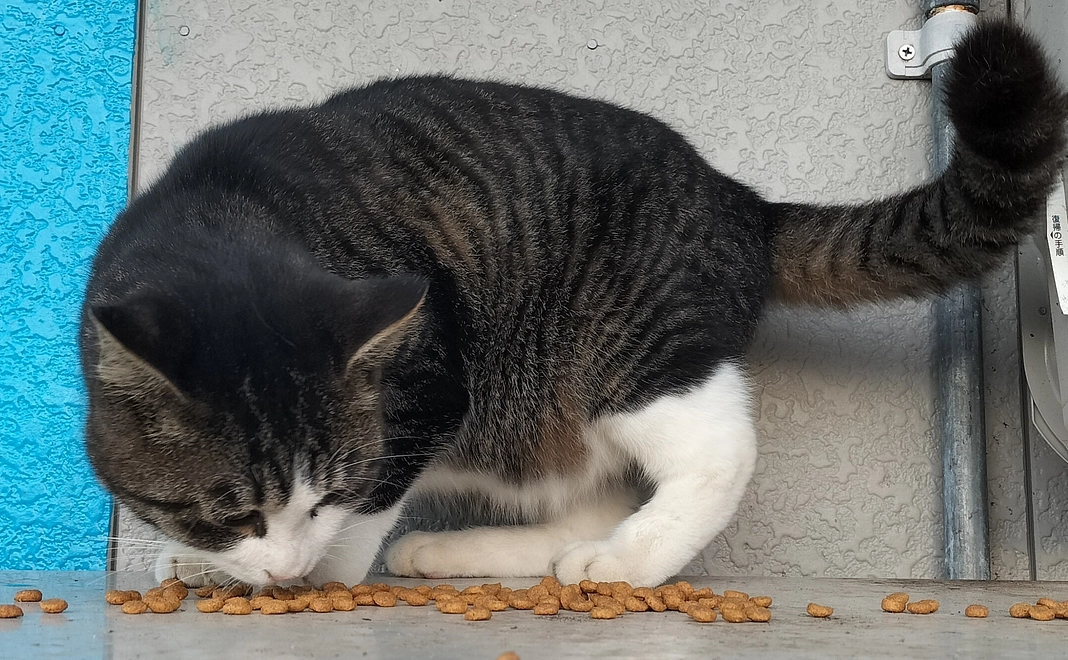 感謝のメール(２)