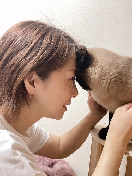 【メッセージリレー】 愛玩動物看護師、老犬介護士　田仲一美様からの応援メッセージ