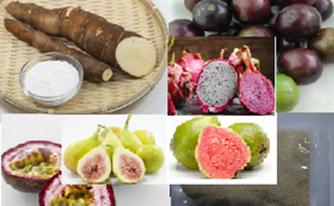 トロピカルフルーツ3種とキャッサバ芋（市場価格14,000円相当）