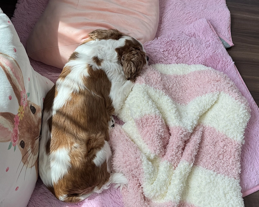 どうかもう少しだけお力をお貸しください🙇‍♀【51日目】