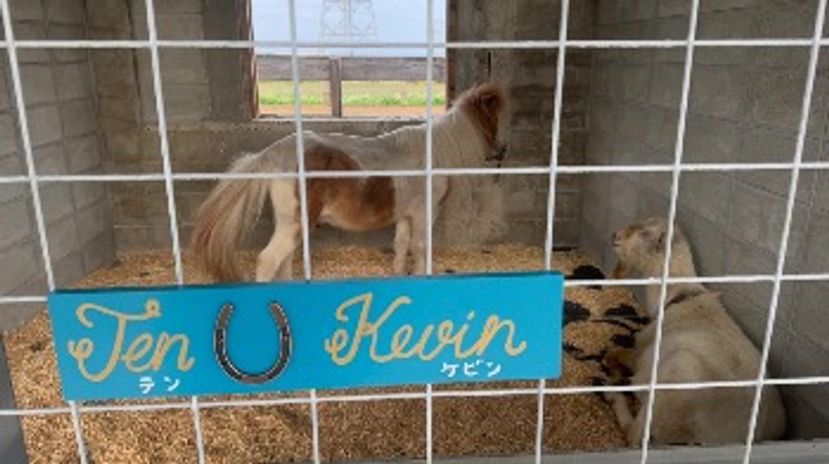 新年明けましておめでとうございます！