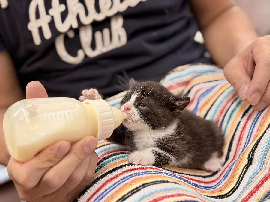 心に刺さった言葉。