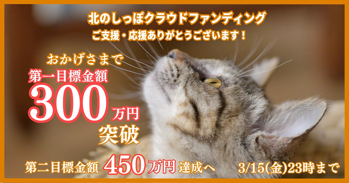 第一目標達成のお礼と、ネクストゴールに挑戦する理由と想い