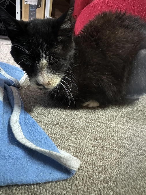 支援金のお知らせ