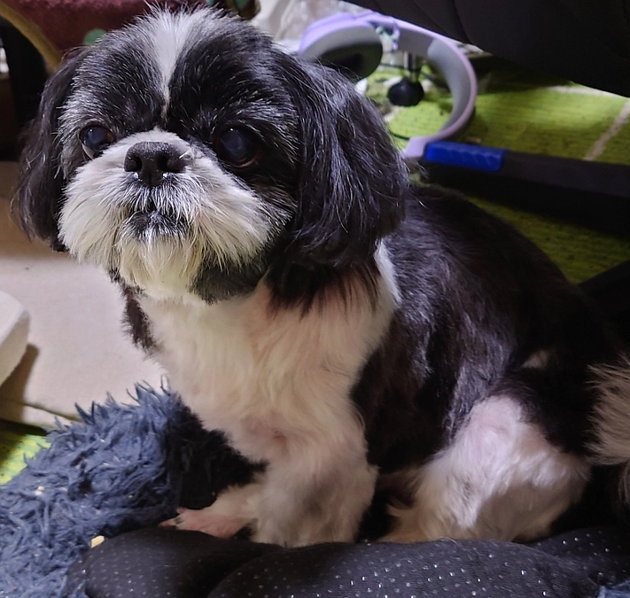 術後半年検診後のご報告です。