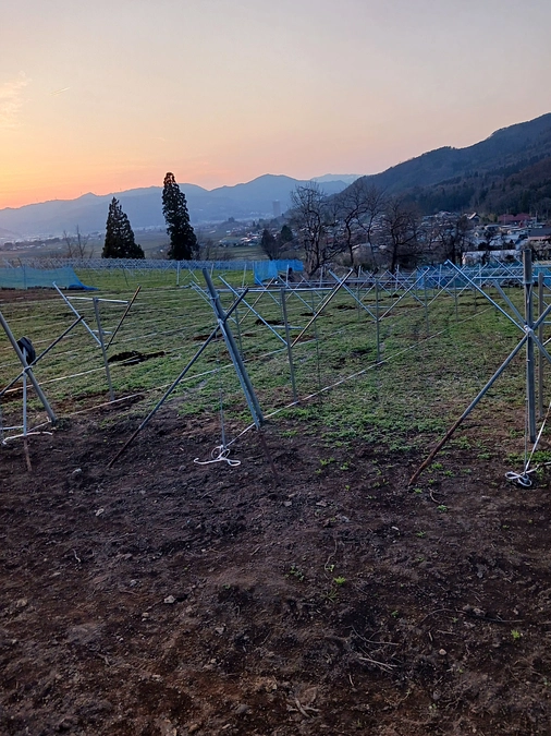 植樹祭のようなものをやります