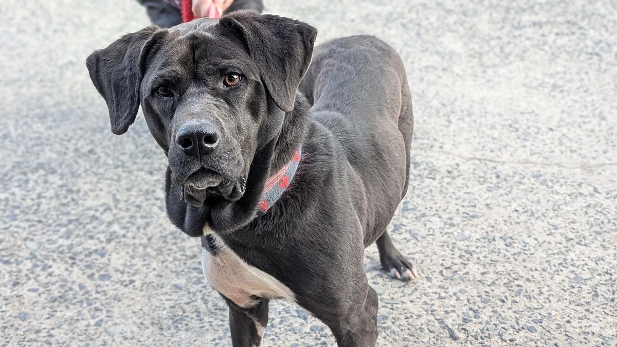 レスキュー1日目