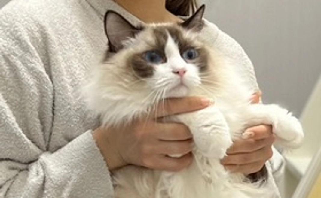 リターン不要1000円