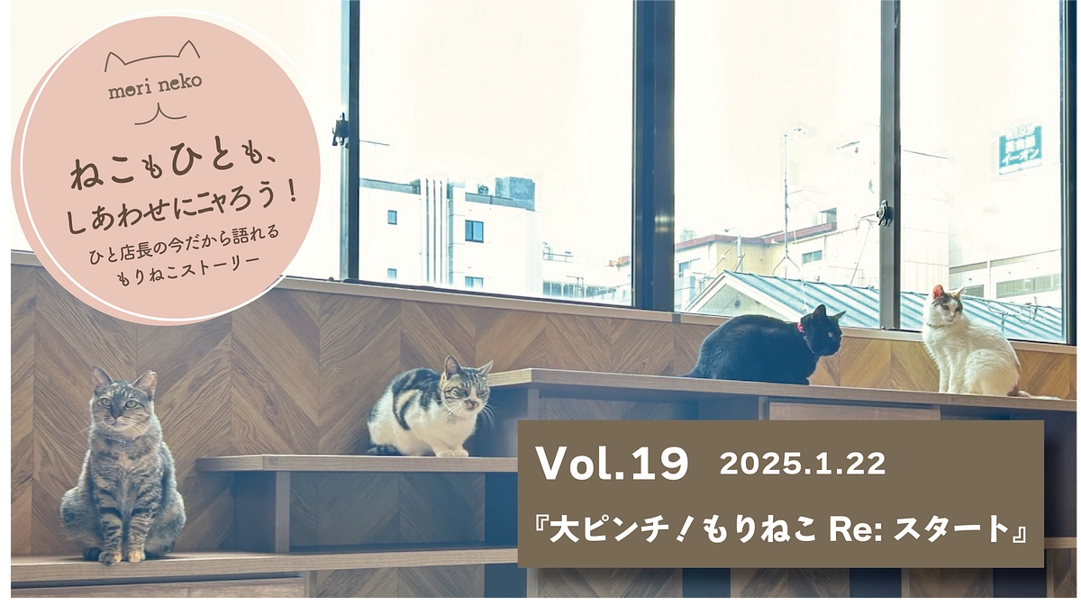 ねこもひとも、しあわせにﾆｬろう！vol.19『もりねこRe:スタート』