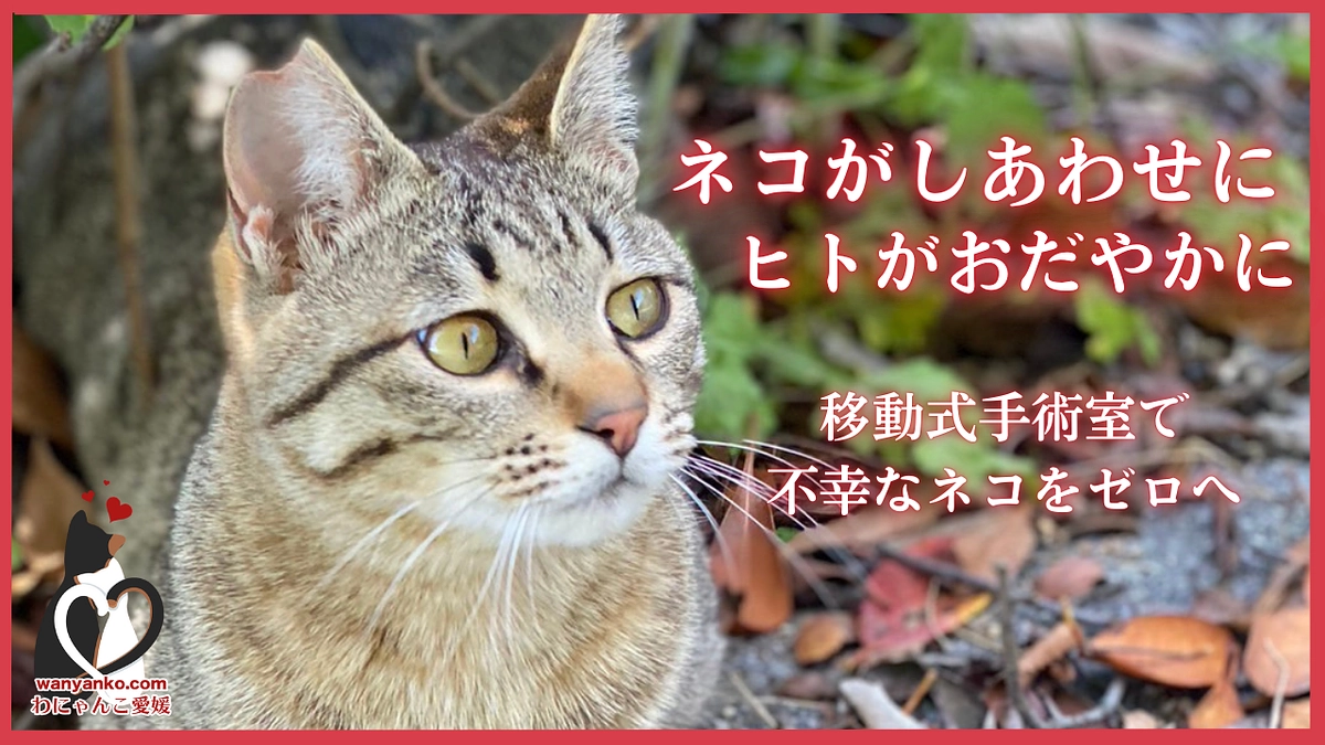 【ご支援ありがとうございます！】本日クラファン第二弾がSTARTしました‼️〜不幸な命を減らしたい〜