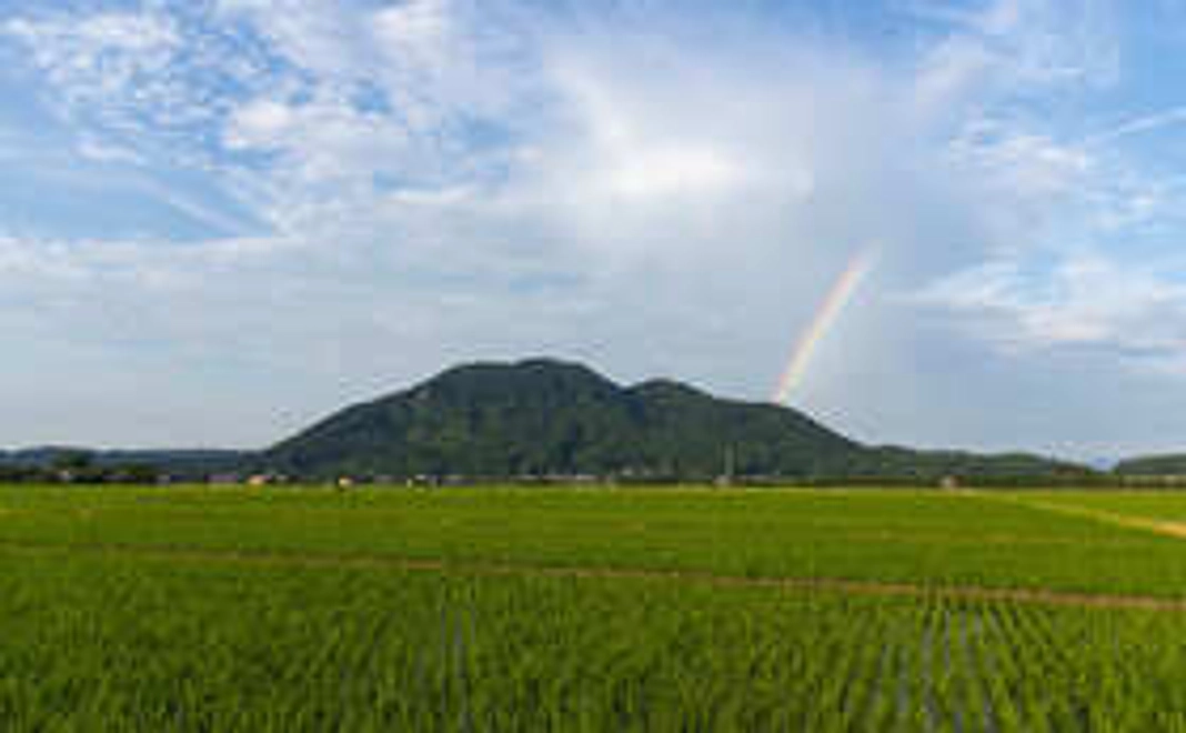 村民コミュニティ参加＋「森山ビレッジ優先宿泊権」1泊分相当