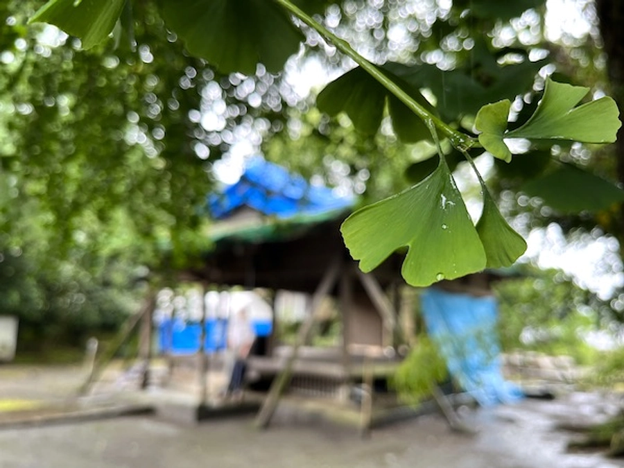 100万円突破させていただきました！