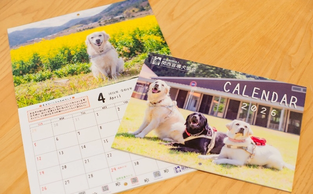 【眼科検診1回分】ご寄付コース