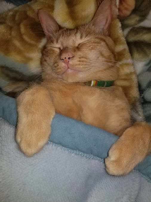 大人になった？