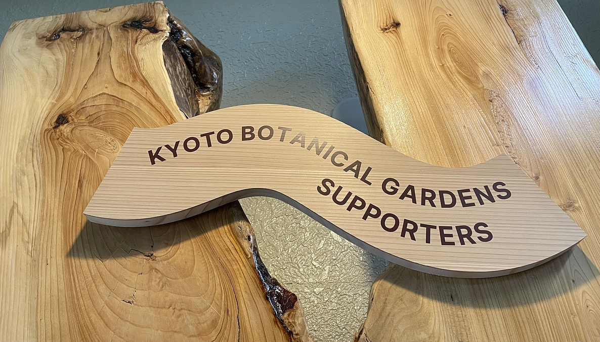 番外編8 桜だより