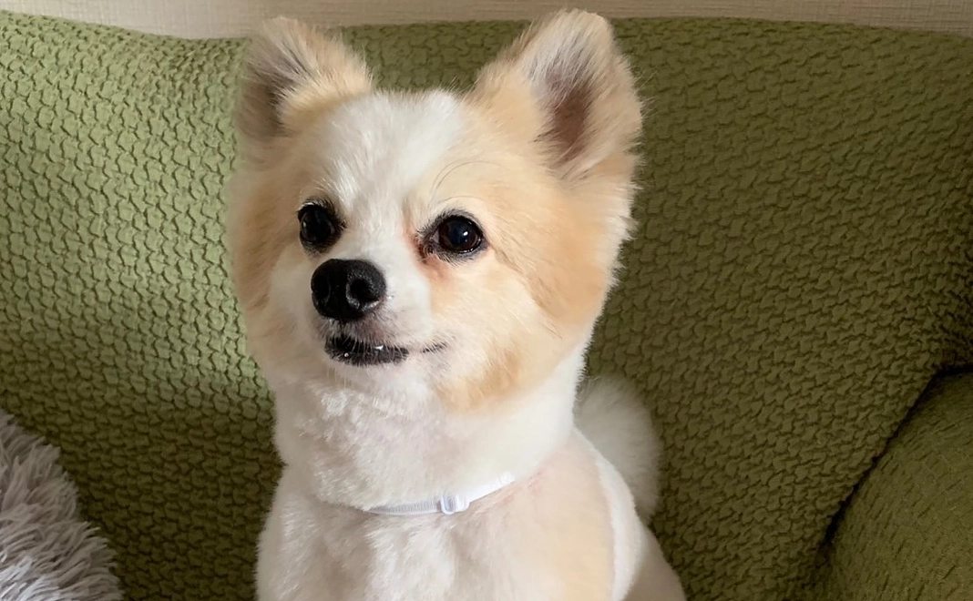 感謝のメール 9