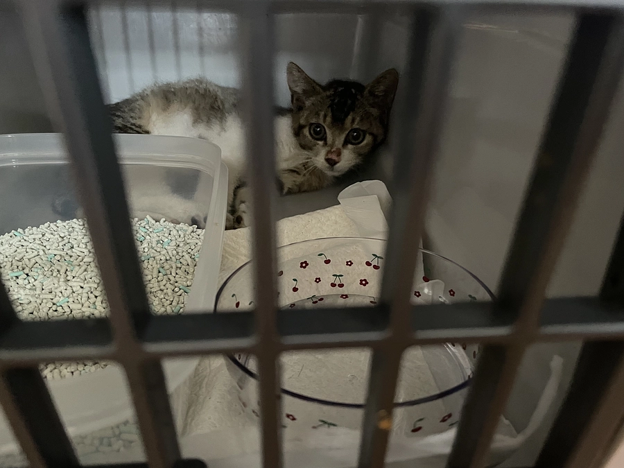 ねてしまいました！