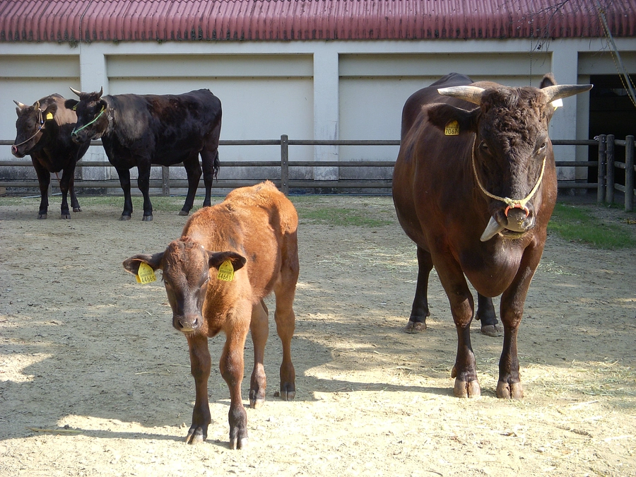 M.N様に捧げる　感謝の画像❷
