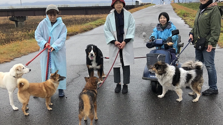 一頭でも多くの命を救いたい〜施設維持のためにご協力をお願いします〜 3枚目