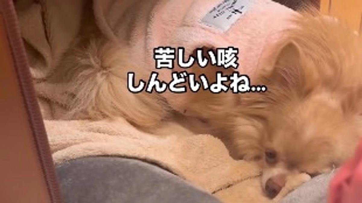 もう時間がありません...🆘