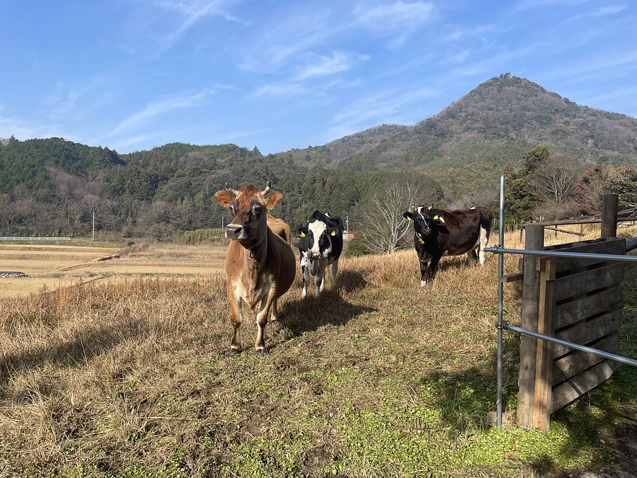 ありがとうございました🐮😌