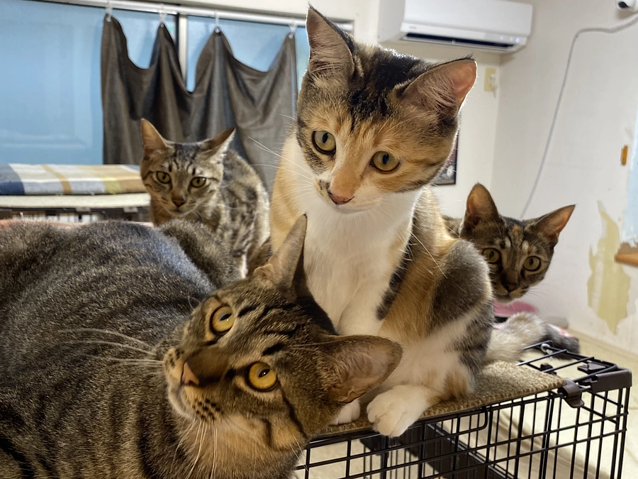 8月12日　よくなってきました。