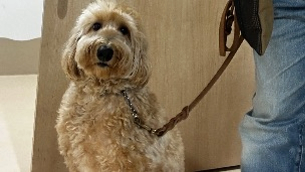 障がい者さんが暮らすグループホーム訪問