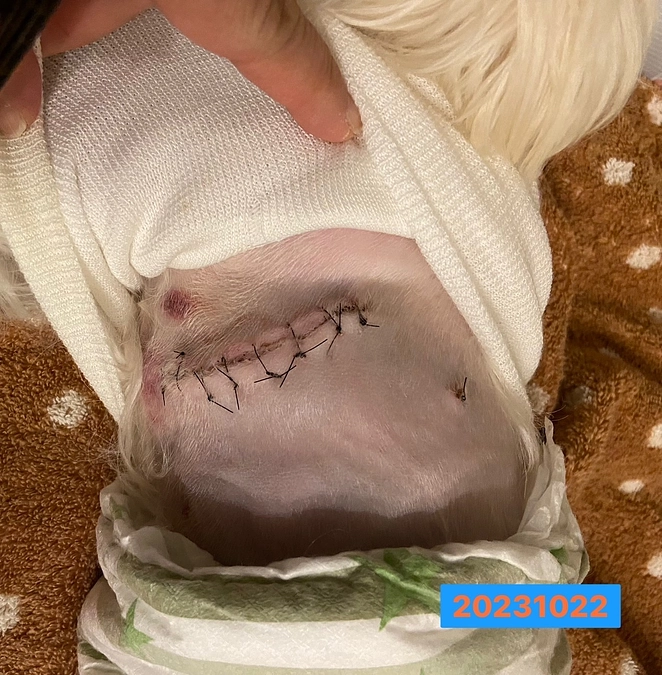 あと9日しか残っていません🥲