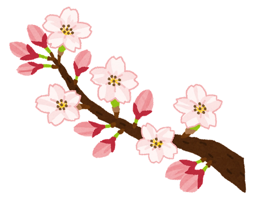 いつもご支援有難うございます！