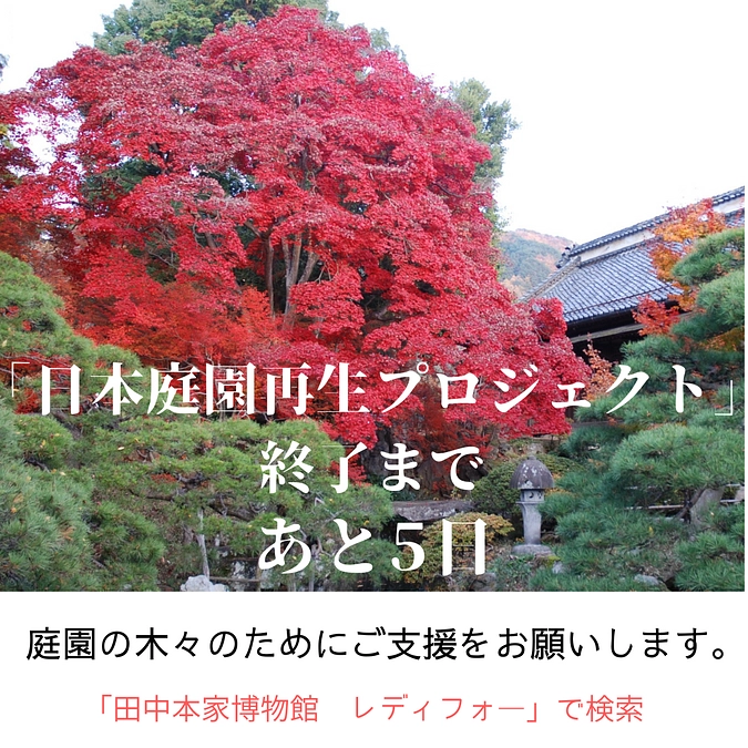 【残り５日】７月５日(金)まで、ご紹介よろしくお願いします。