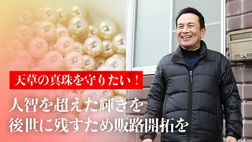天草の真珠を守りたい！人智を超えた輝きを後世に残すため販路開拓を！ のトップ画像