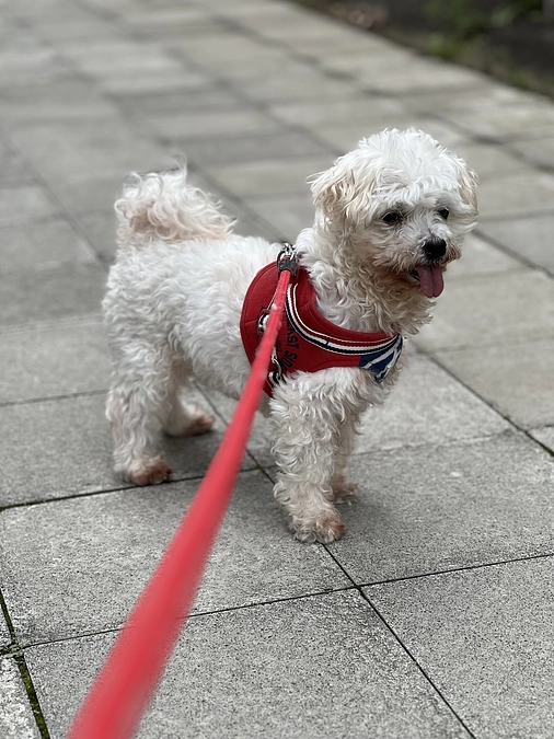 達成率54％！引き続き応援よろしくお願いします！