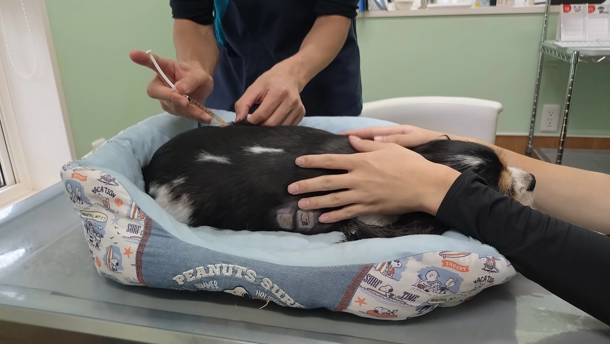 10月27日かかりつけ受診明細