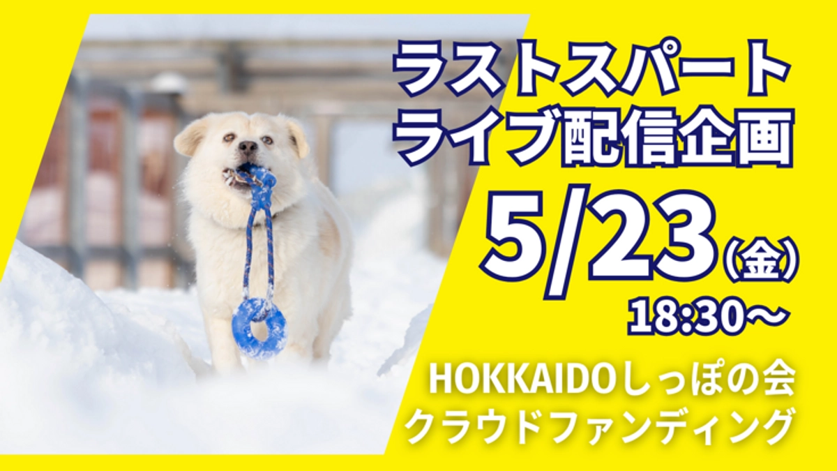 【5/23(金)と5/24(土)】ラストスパートライブ配信企画のお知らせ｜ぜひご参加ください