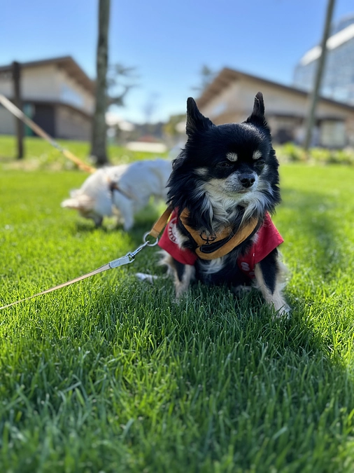 最後の最後で達成することができました！感謝してもしきれません