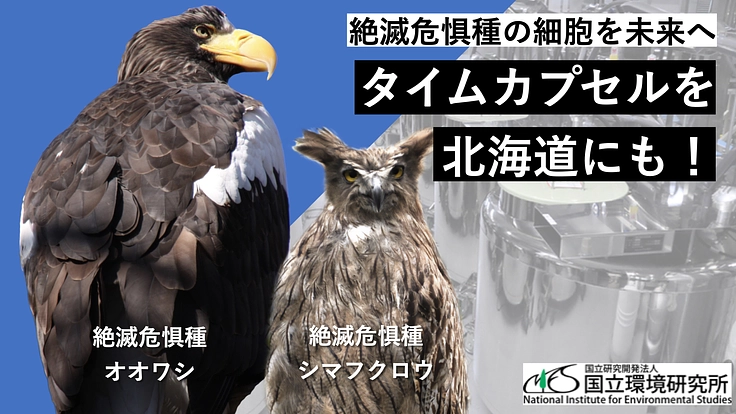 絶滅危惧種の多様性を未来に残すため、細胞保存のタイムカプセルを！