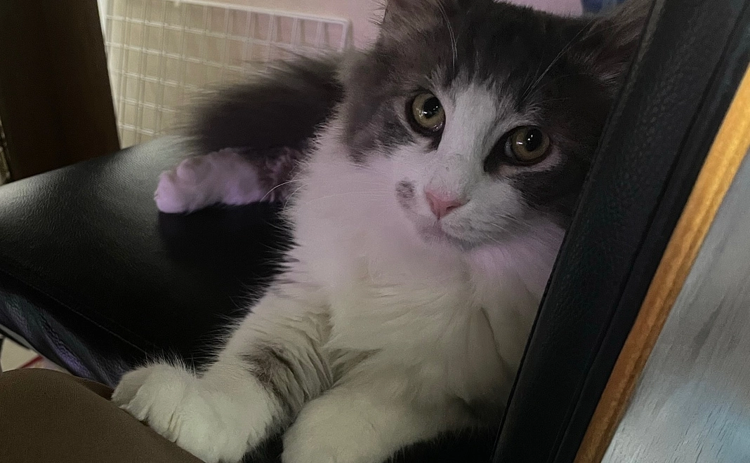 コアくん支援②リターン不要