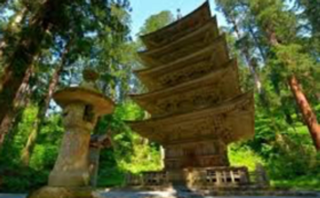 食文化の教育へ賛同とご支援へ感謝状