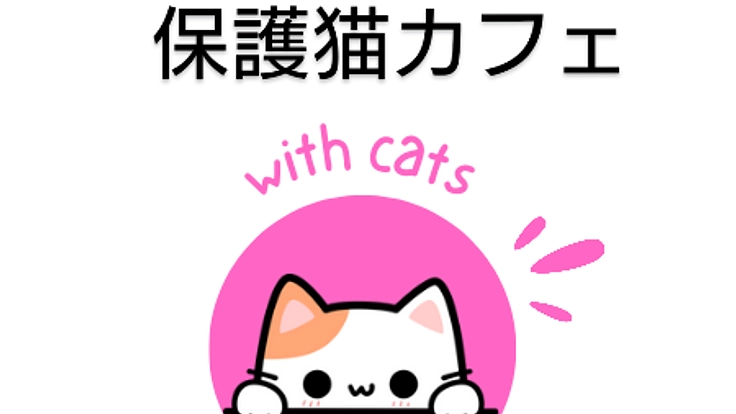 with cats 津軽の保護猫カフェ