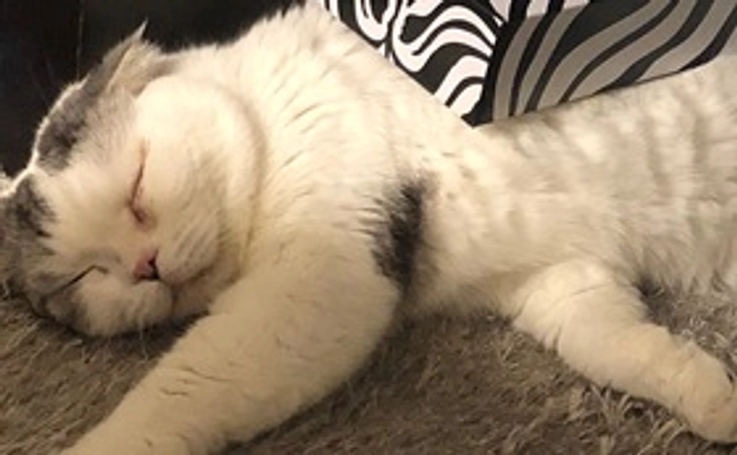 感謝のメール　写真を付けてお送り致します。