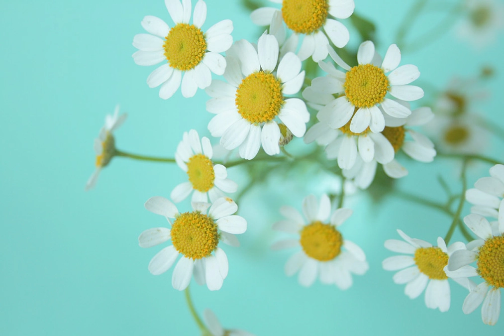 ドラマみたいなこと