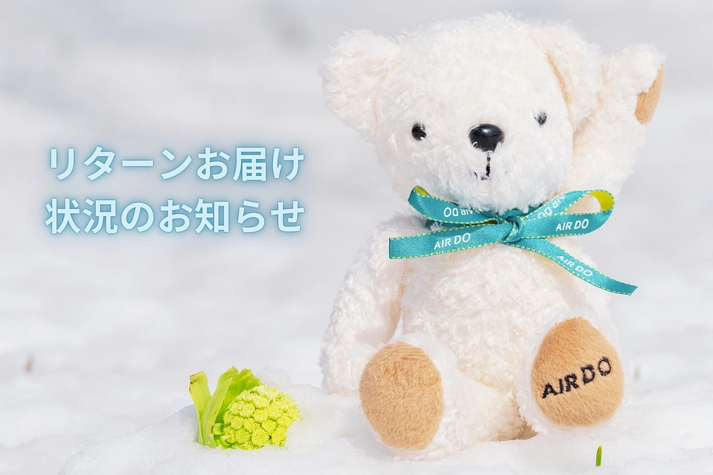 リターンに関するお届け状況について