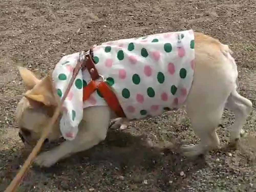 眼科専門医先生がいらっしゃる病院よりご紹介され製作しました！